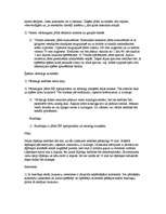 Konspekts 'Florbols', 2.