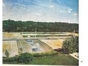 Prezentācija 'Aleksandrs Builis - skolvadība', 20.