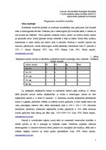 Referāts 'Gēnu mutācijas', 1.