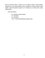 Biznesa plāns 'Uzņēmuma SIA "Velostāvvieta" ekonomiskās darbības prognozēšana, plānošana un ana', 5.