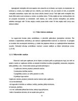 Biznesa plāns 'Uzņēmuma SIA "Velostāvvieta" ekonomiskās darbības prognozēšana, plānošana un ana', 11.