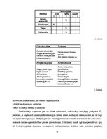 Biznesa plāns 'Uzņēmuma SIA "Velostāvvieta" ekonomiskās darbības prognozēšana, plānošana un ana', 13.