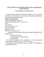Biznesa plāns 'Uzņēmuma SIA "Velostāvvieta" ekonomiskās darbības prognozēšana, plānošana un ana', 19.