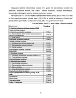 Biznesa plāns 'Uzņēmuma SIA "Velostāvvieta" ekonomiskās darbības prognozēšana, plānošana un ana', 28.