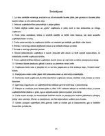 Biznesa plāns 'Uzņēmuma SIA "Velostāvvieta" ekonomiskās darbības prognozēšana, plānošana un ana', 29.