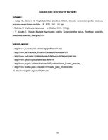 Biznesa plāns 'Uzņēmuma SIA "Velostāvvieta" ekonomiskās darbības prognozēšana, plānošana un ana', 30.