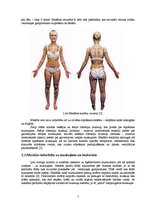 Referāts 'Masāžas paņēmienu fizioloģiskās iedarbības mehānismi', 7.
