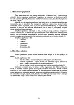 Referāts 'Masāžas paņēmienu fizioloģiskās iedarbības mehānismi', 13.