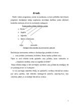 Referāts 'Tirdzniecības uzņēmuma cenu politika', 3.