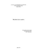 Referāts 'Tīrīšanas līdzekļi', 1.