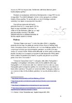 Referāts 'Tīrīšanas līdzekļi', 6.