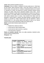 Referāts 'Alkohola lietošanas profilakses programma', 1.