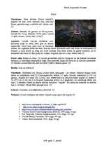 Konspekts 'Sams', 1.