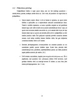 Diplomdarbs 'Interneta veikala veidošanas pamatnosacījumi un iespējas Latvijā', 18.