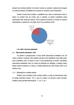 Diplomdarbs 'Interneta veikala veidošanas pamatnosacījumi un iespējas Latvijā', 32.