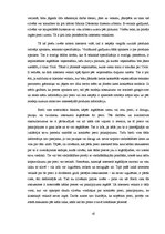 Diplomdarbs 'Interneta veikala veidošanas pamatnosacījumi un iespējas Latvijā', 45.