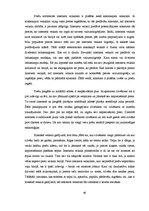 Diplomdarbs 'Interneta veikala veidošanas pamatnosacījumi un iespējas Latvijā', 46.