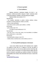 Biznesa plāns 'Nozares un produkta analīze. Biznesa plāns skaistumkopšanas salonam', 4.