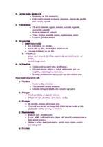 Konspekts 'S.Geikina "Retorikas pamati"', 6.