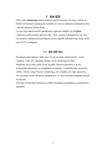 Paraugs 'SIA "IZZI" SVID analīze', 3.