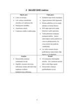 Paraugs 'SIA "IZZI" SVID analīze', 4.