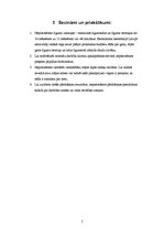 Paraugs 'SIA "IZZI" SVID analīze', 6.