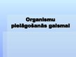 Prezentācija 'Organismu pielāgošanās gaismai', 1.
