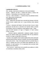 Prakses atskaite 'Komercdarbības organizācija IK "SPA Beta"', 9.