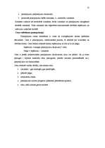 Prakses atskaite 'Komercdarbības organizācija IK "SPA Beta"', 13.