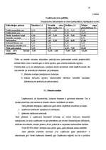 Prakses atskaite 'Komercdarbības organizācija IK "SPA Beta"', 14.