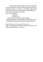 Prakses atskaite 'Komercdarbības organizācija IK "SPA Beta"', 17.