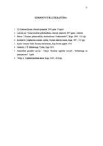 Prakses atskaite 'Komercdarbības organizācija IK "SPA Beta"', 21.