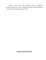 Referāts 'Ekspertīzes un to veidi', 17.