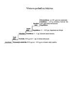 Konspekts 'Gatavojies vēstures eksāmenam', 1.