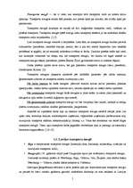 Referāts 'Transporta mezgla uzdevumi un raksturojums', 4.