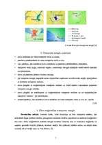 Referāts 'Transporta mezgla uzdevumi un raksturojums', 6.