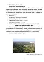 Referāts 'Transporta mezgla uzdevumi un raksturojums', 10.