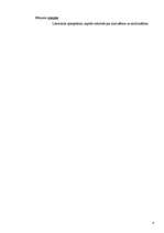 Referāts 'Izplatītākie cilvēktiesību pārkāpumi Latvijā no 1996.-2006.gadam', 4.