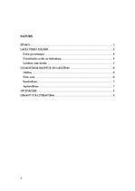 Konspekts 'Laulību tradīcijas Latgalē', 2.