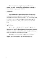 Konspekts 'Laulību tradīcijas Latgalē', 7.