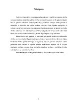 Referāts 'Vērtību izmaiņas mūsu sabiedrībā', 9.