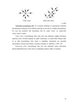 Referāts 'Iekšējā komunikācija organizācijā', 10.