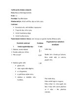 Konspekts 'Sporta stundas konspekts', 1.