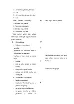 Konspekts 'Sporta stundas konspekts', 8.