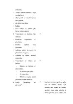 Konspekts 'Sporta stundas konspekts', 9.