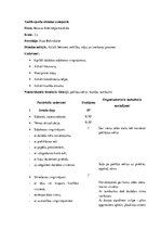 Konspekts 'Sporta stundas konspekts', 11.