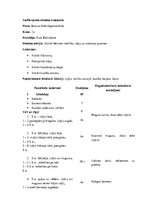 Konspekts 'Sporta stundas konspekts', 14.