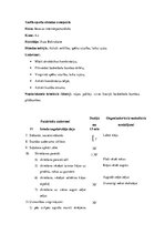 Konspekts 'Sporta stundas konspekts', 20.