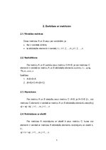 Referāts 'Matricas un to saistība ar lineāru vienādojumu sistēmu atrisināšanu', 5.