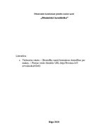 Eseja 'Pētnieciskās žurnālistikas piemēra analīze', 1.